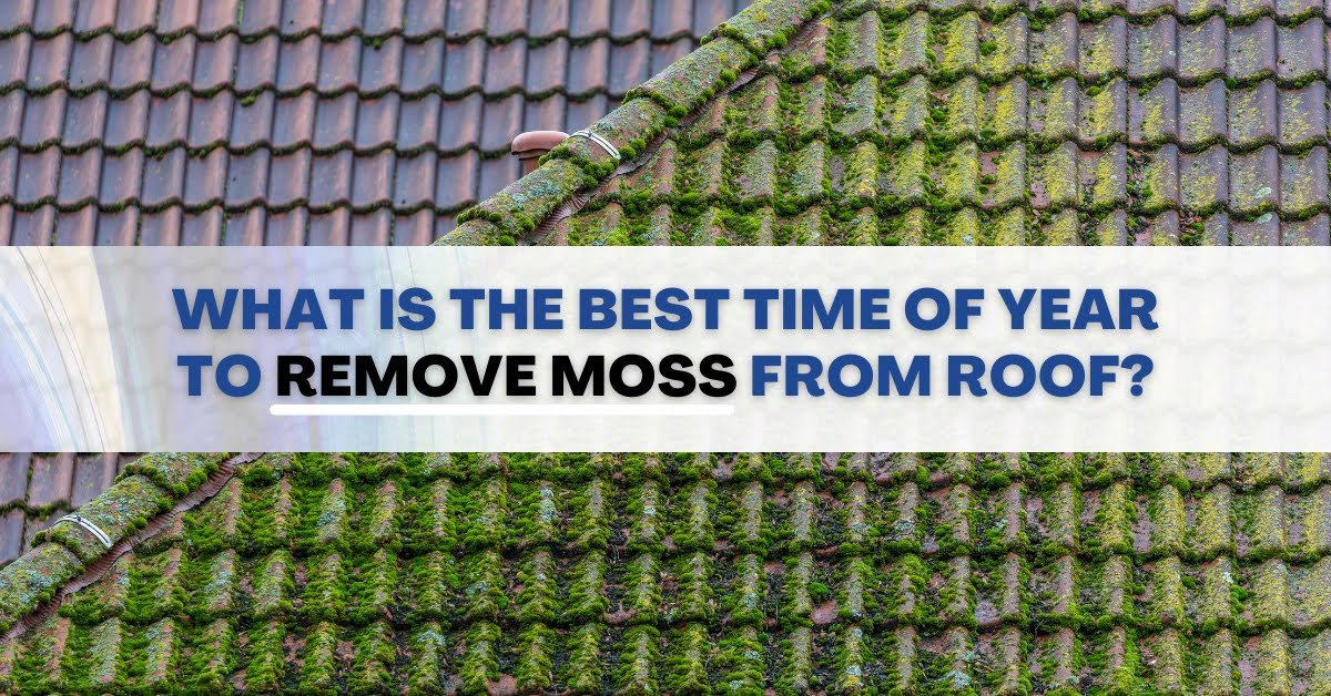 Best Time Of Year To Remove Moss From Roof