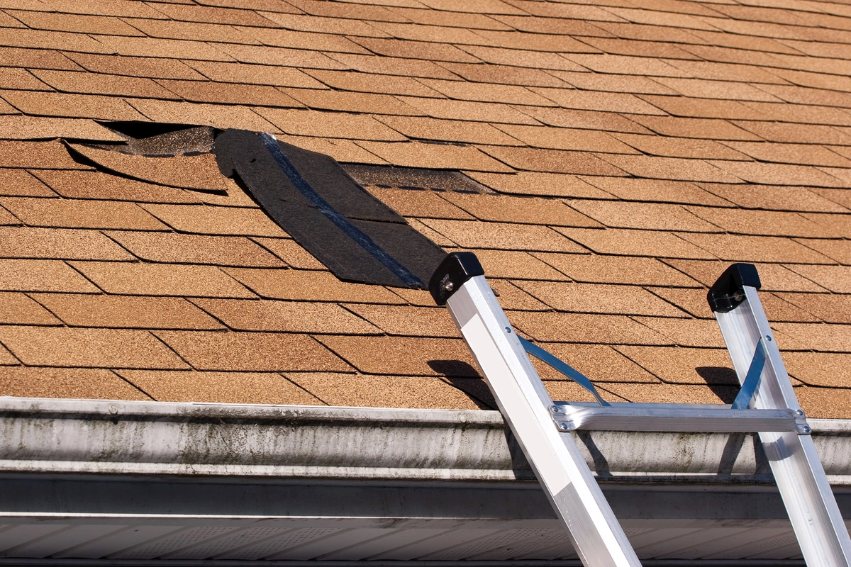 How to Repair Roof 
