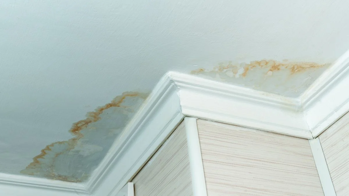 How to Get Rid of Brown Water Stains on Ceiling