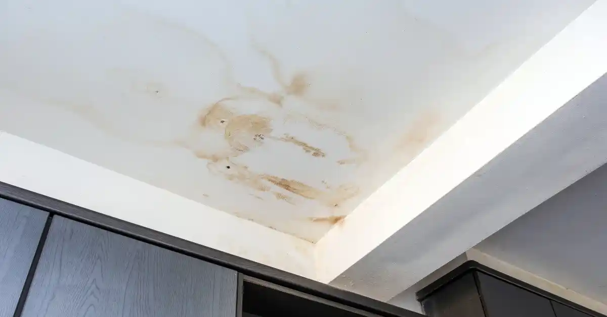 How to Get Rid of Brown Water Stains on Ceiling 7 How to Get Rid of Brown Water Stains on Ceiling