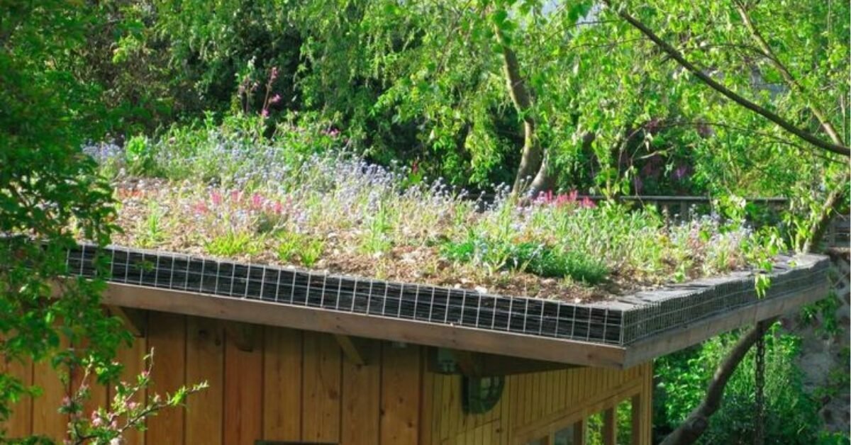 Benefits of Installing a Green Roof