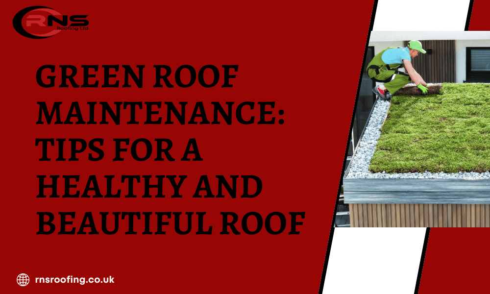 Green Roof Maintenance Tips: Keeping Your Flat Roof Healthy and Beautiful